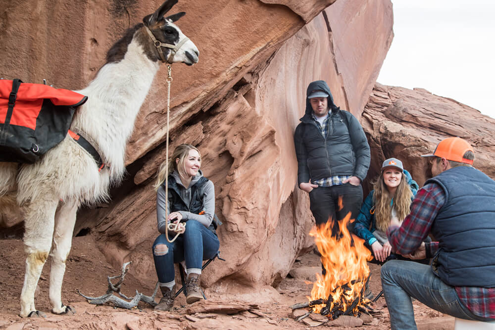 Capitol Reef Utah - Pack Llamas - Day Hikes