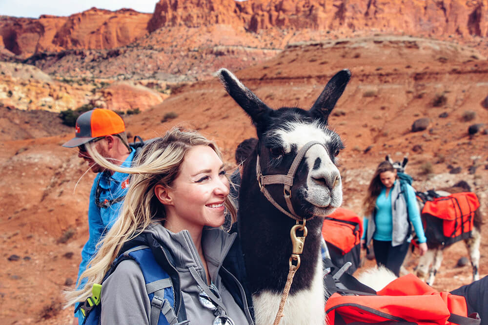 Capitol Reef Utah - Pack Llamas - Multi-Day Treks