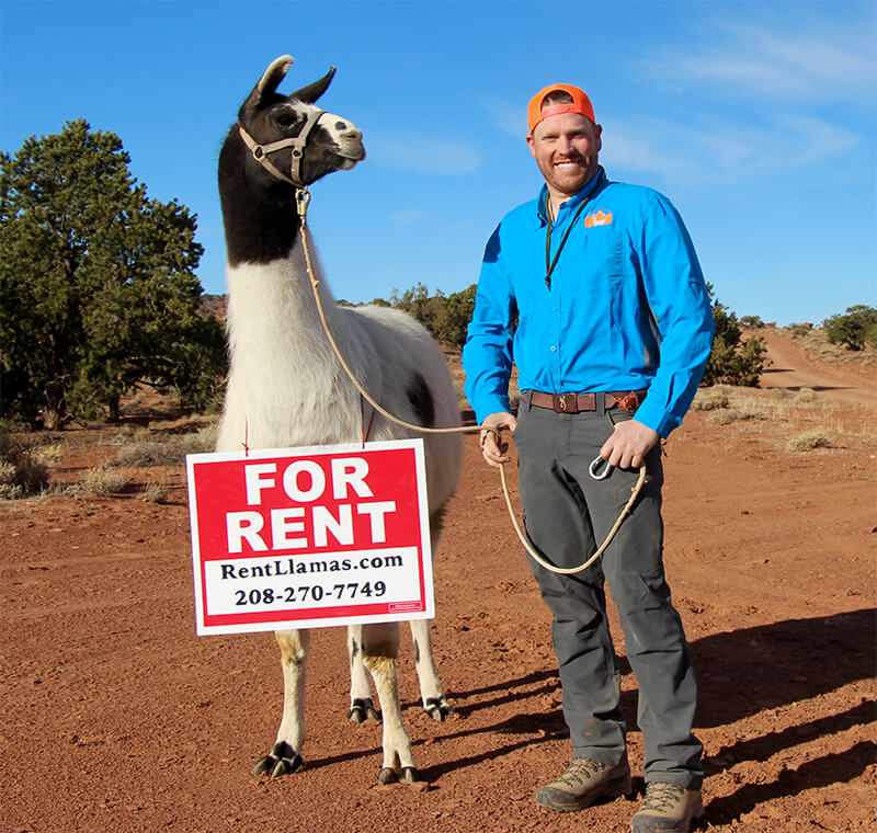 llama rentals