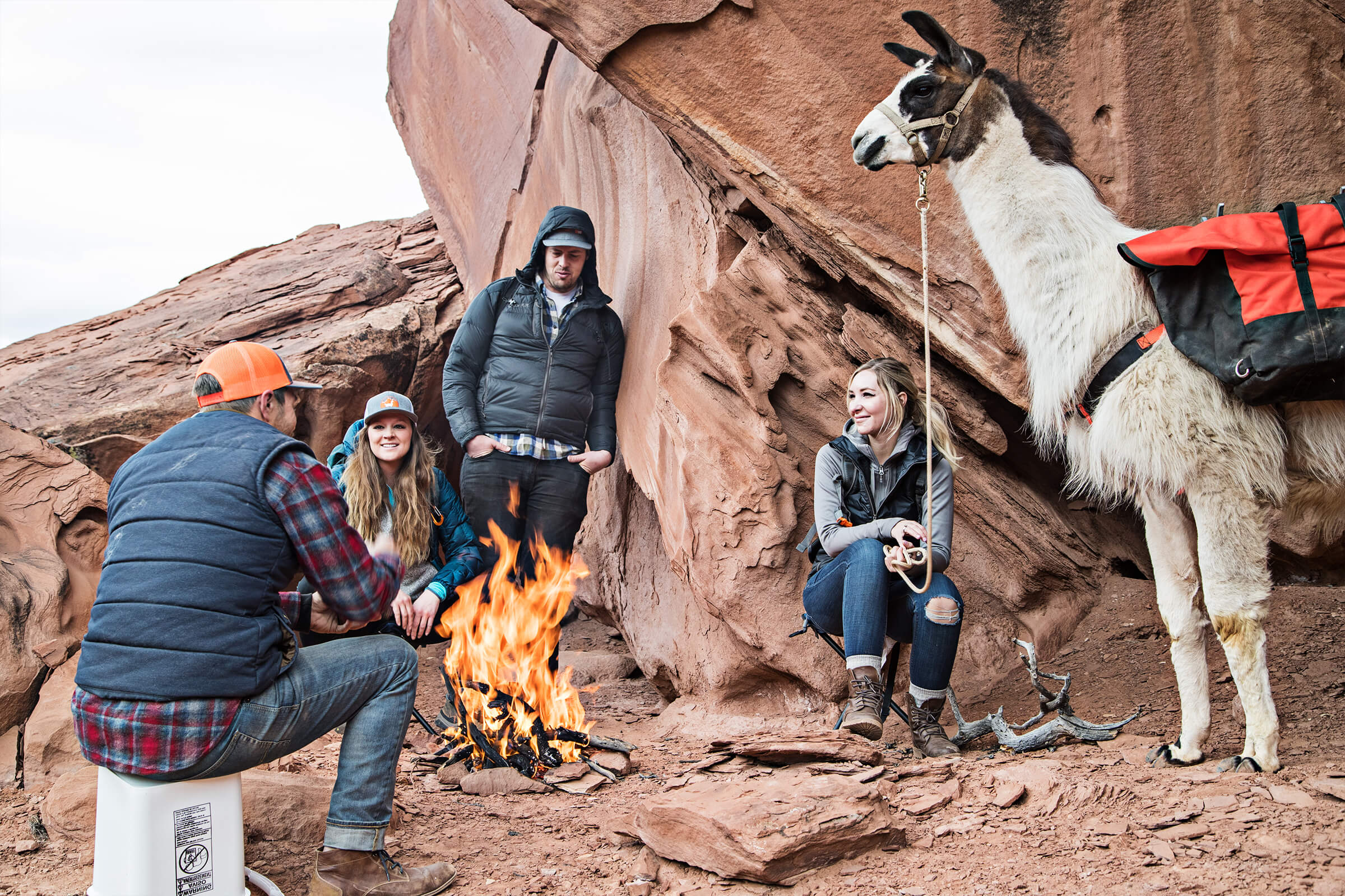 Llamas, the Ultimate Backcountry Hiking Partner?