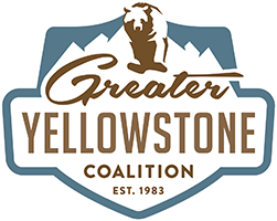 greater yellowstone coalition
