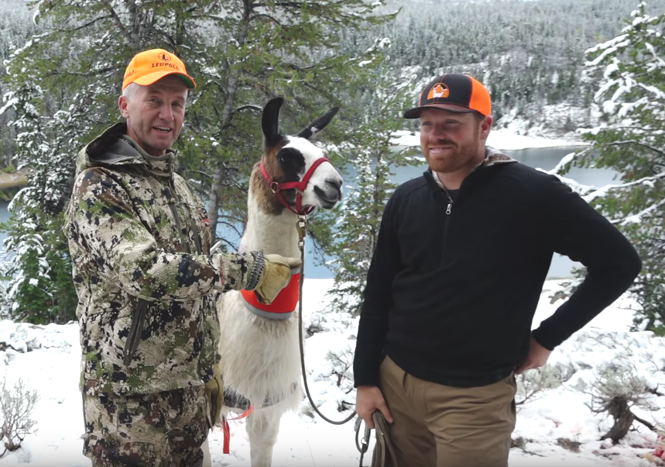 Beau Baty | Wilderness Ridge Trail Llamas | Rent Llamas