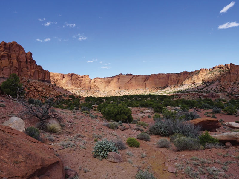The Jaunt - Capital Reef Day Hike