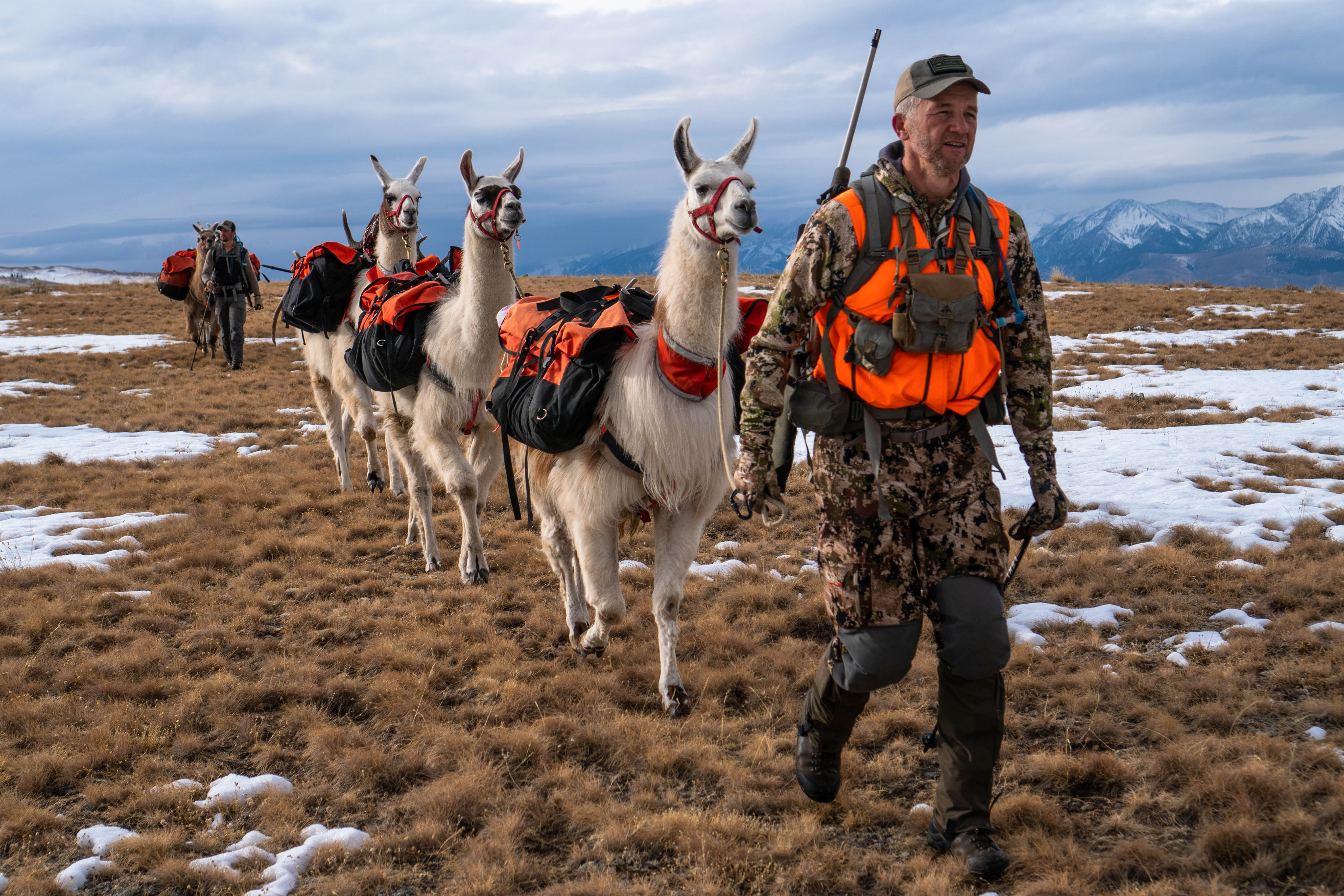 Elk Hunt Randy Newberg