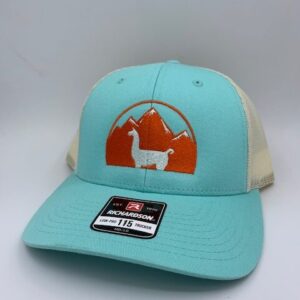 Turquoise WRTL Llama Hat
