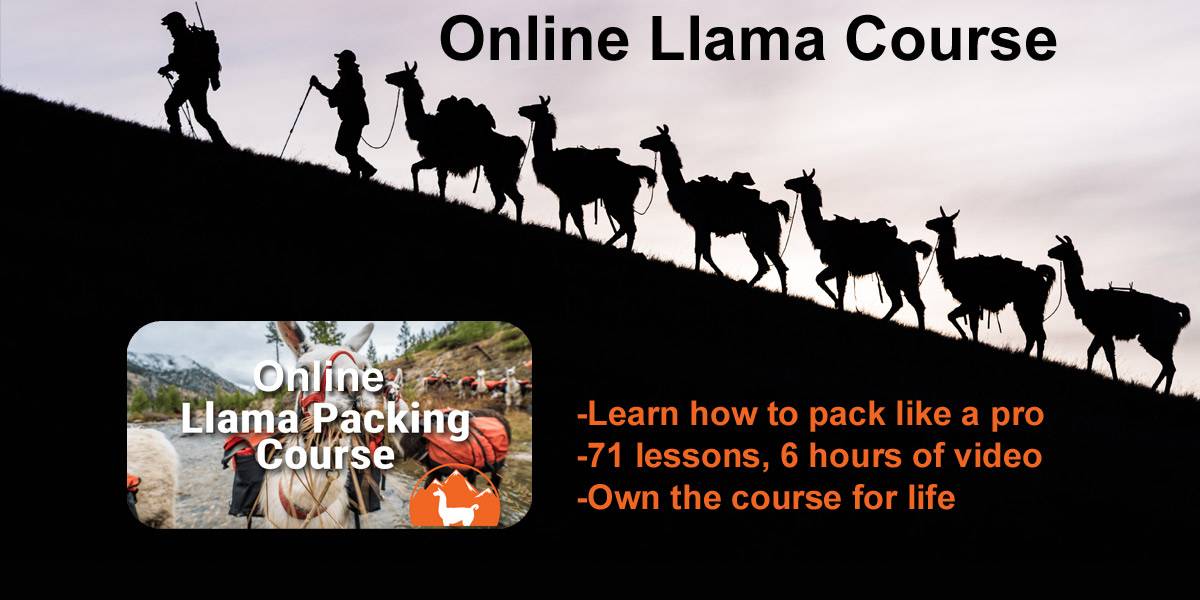 Online Llama Course